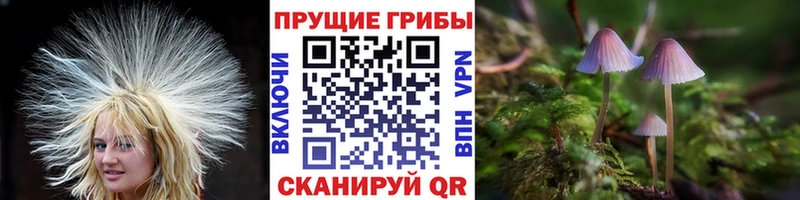 Галлюциногенные грибы MAGIC MUSHROOMS  сколько стоит  Красноуфимск 